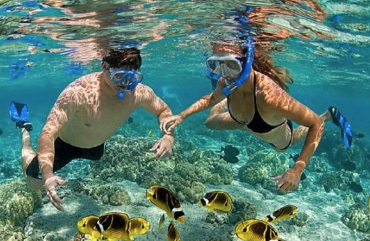 Best Beaches For Snorkeling In Puerto Rico Crash Boat Beach