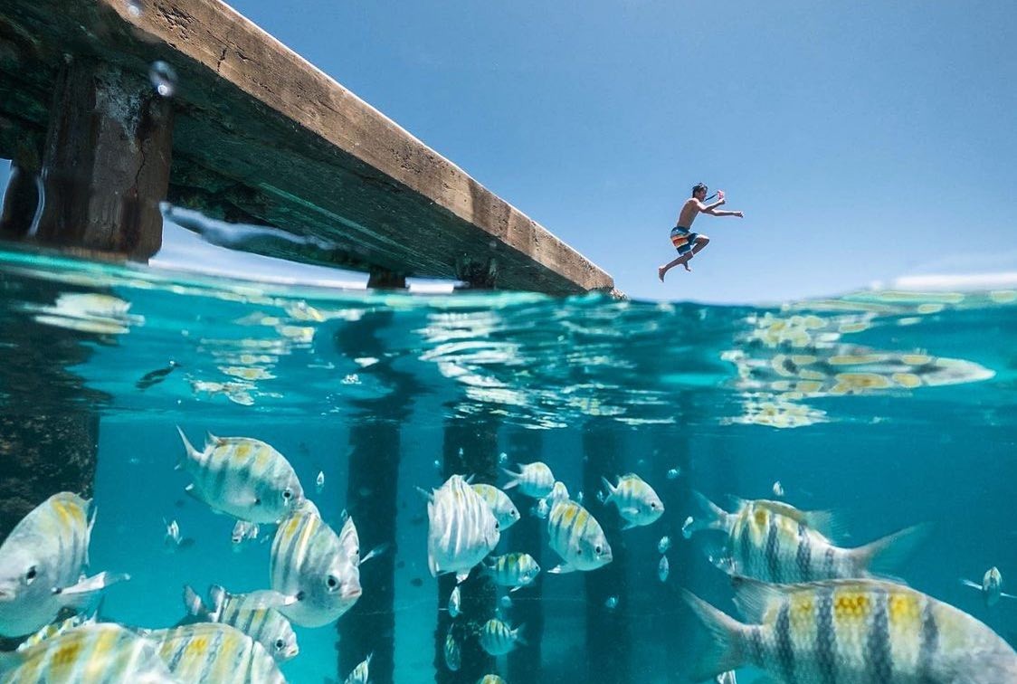 Crash Boat Beach Pier Jump Fish Aguadilla