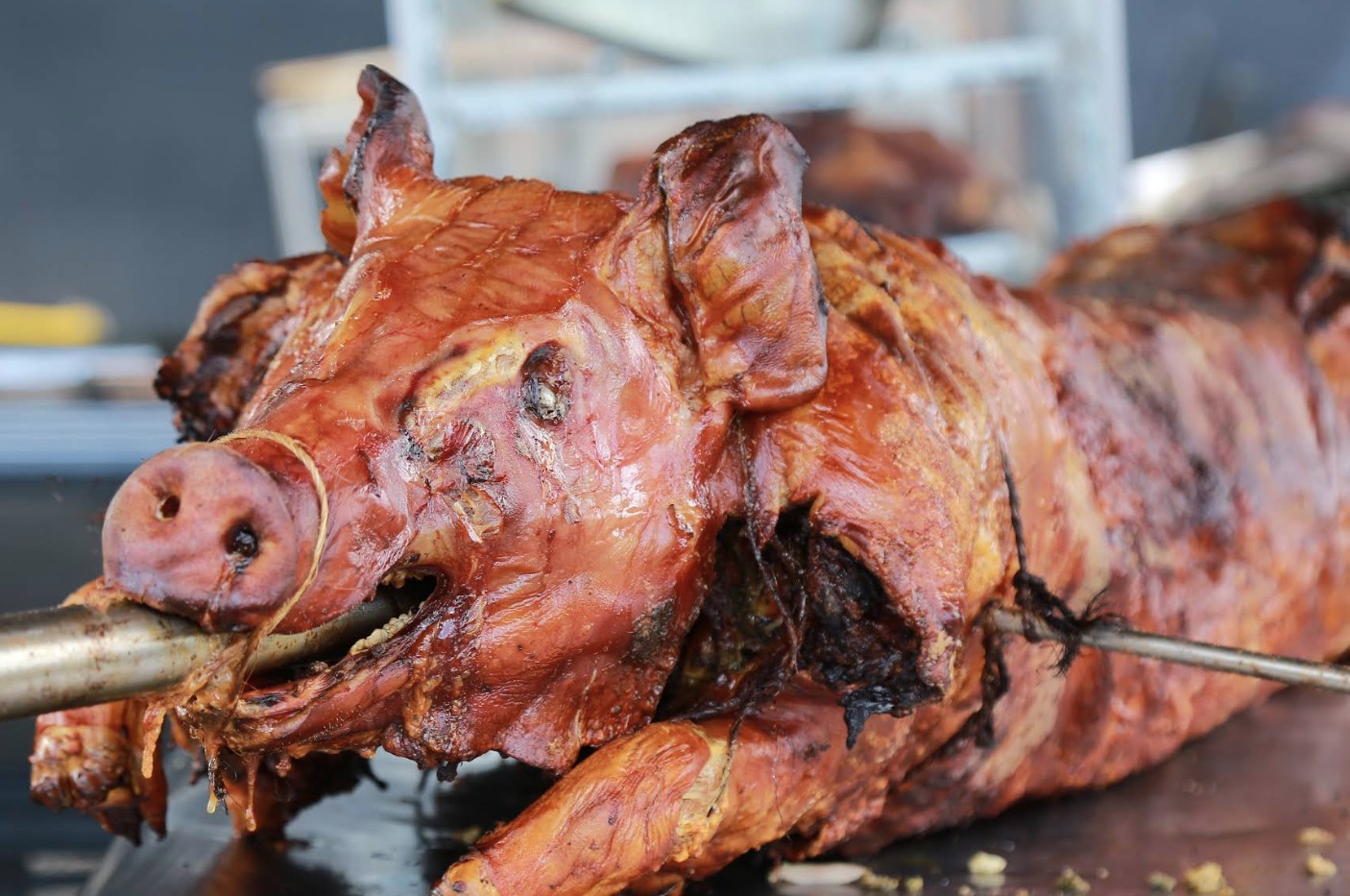 Lechonera Pigs 107 Crash Boat Beach Whole Pig Roast