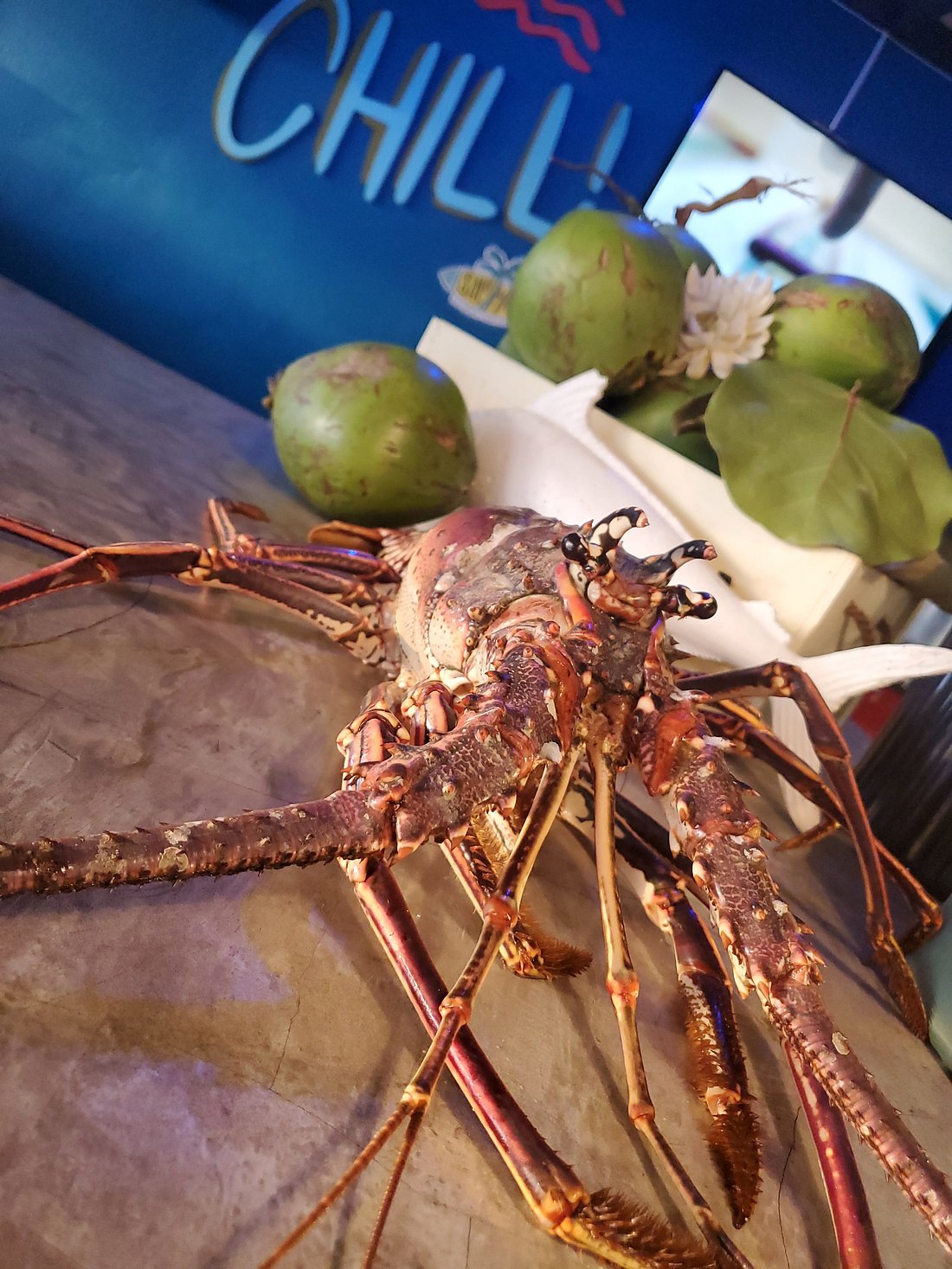 Sal De Mar Rooftop Crash Boat Beach Fresh Lobster