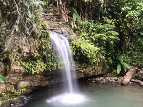 Top 10 Waterfalls In Puerto Rico For Tourists