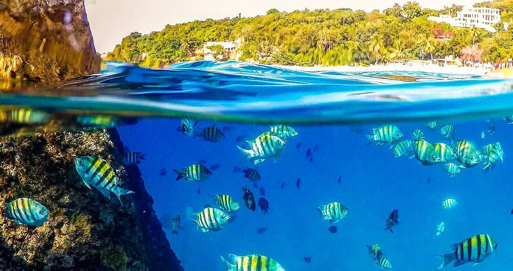 Water Sports You Can Try At Crash Boat Beach Snorkeling Fish